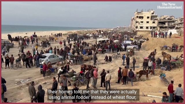 Snapshots: Starvation fears grow in Gaza City смотреть онлайн