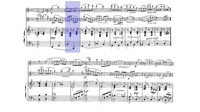 🎼 F. DOPPLER - Rondo Op. 25 [for TWO FLUTES and PIANO] - (Piano & 2nd Flute Accompaniment) смотреть онлайн