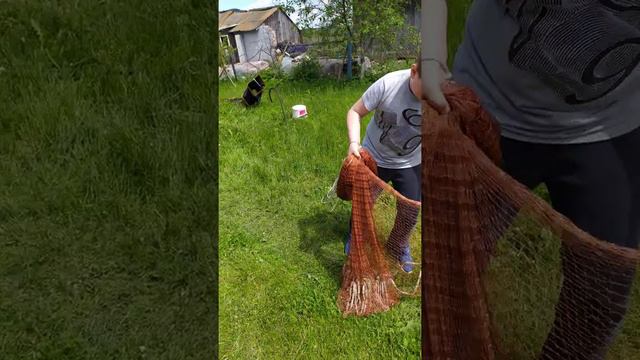 Как правильно даже и ребёнок.Заброс накидки испанки !!! Складывания сети и раскрытие !!!!! смотреть онлайн