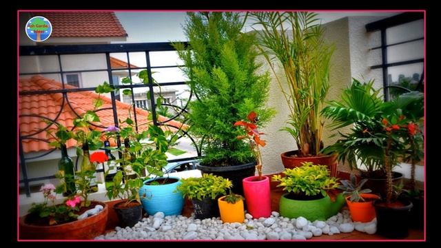 Ash Garden ideas | garden decoration ideas | landscaping ideas | landscaping and gardening |#garden смотреть онлайн