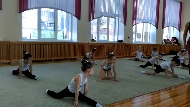 Открытая тренировка по гимнастике 04 03 2018 смотреть онлайн