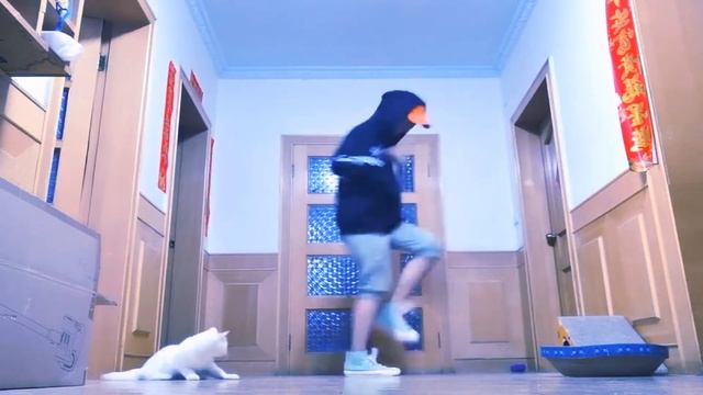 Brown shuffle смотреть онлайн