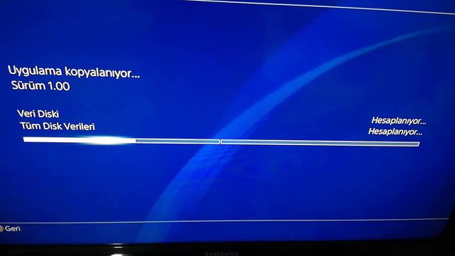 Red Dead Redemption 2 CD Yükleme Hatası (Error Ce-30005-8)