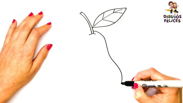 Cómo Dibujar Una Pera Paso A Paso ? Dibujo Fácil De Pera смотреть онлайн