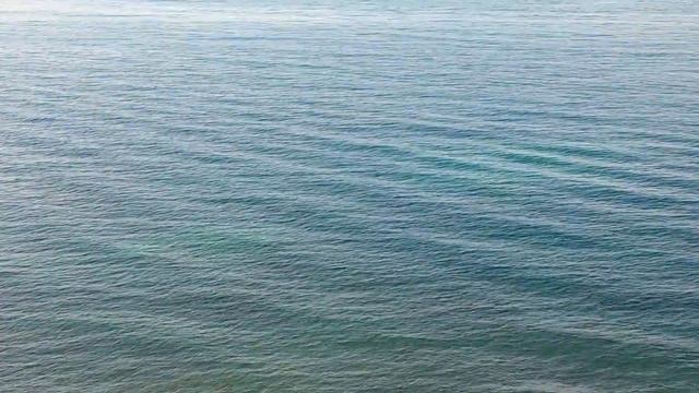 Криница-2015. Дельфины. смотреть онлайн