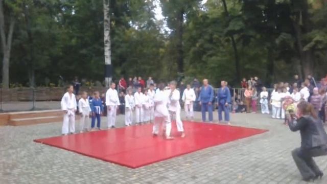 Выступление на День города Ромны 2013 год. Джиу-джитсу