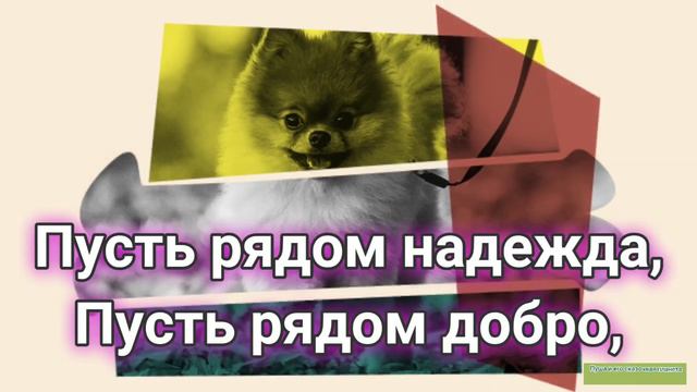 Хорошего дня от души пожелаю