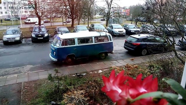 Декабрист опять радует 😊 2020