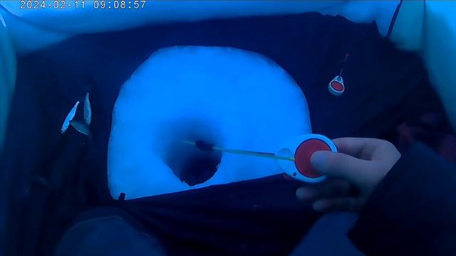 Вот что можно поймать в буран на Катуне. Смотри до конца!!! смотреть онлайн