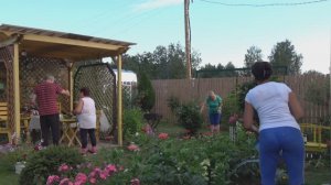 6 соток 13 июля 2024 года. Хроника.