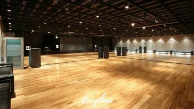 blackpink's pink venom but ur in a dance practice room смотреть онлайн