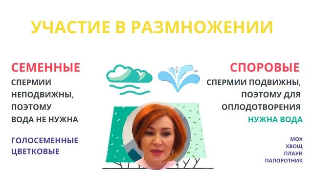 ЖИЗНЕННЫЙ ЦИКЛ РАСТЕНИЙ 1 ЧЕРЕДОВАНИЕ ПОКОЛЕНИЙ смотреть онлайн