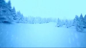 Уроки музыки. 2 класс. Урок 29. "Живописная музыка зимы"