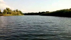 ЛОДЧНЫЙ МОТОР HIDEA 6 Л.С., КРАТКИЙ ОБЗОР, ИСПЫТАНИЕ НА ВОДЕ, ЛЕБЕДИ НА ПРУДУ #Shorts