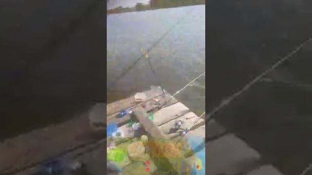 Соревнование по Рыбалка🐟 / Метинвест-Промсервис / Видео от подписчика для канала Вокруг Водоемов смотреть онлайн