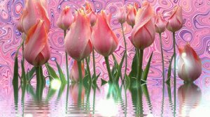 Футаж. Цветочный фон 37