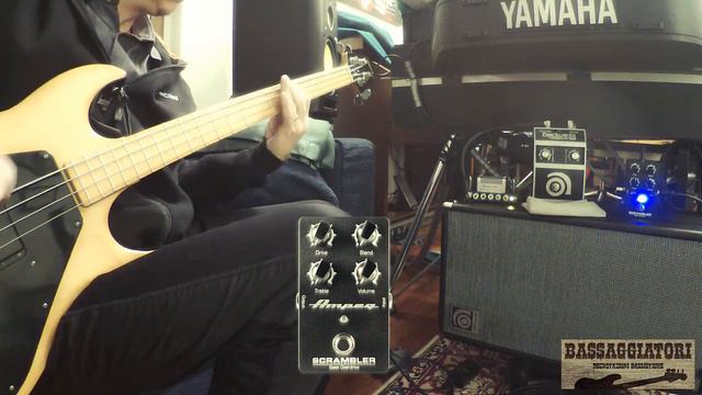 New & Old Ampeg Scrambler pedal with Rock BASS - 4 of 6 (Gibson Grabber bass) смотреть онлайн