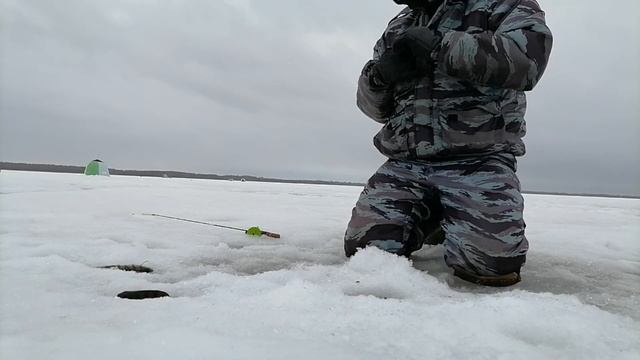 ✌️ ШАБЛИШ ✌️ ПОЕХАЛИ ЗА ОКУНЕМ А НАРВАЛИСЬ НА.. смотреть онлайн