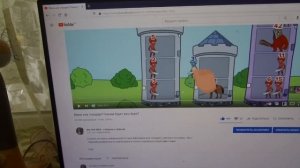 МИНИ ИЛИ СТАНДАРТ. Возможно ли точно «угадать», каким будет ваш йорк? Наша личная статистика.