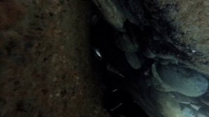 Подводная охота в Черном море. Побил свой рекорд по зубарю 03.05.2022