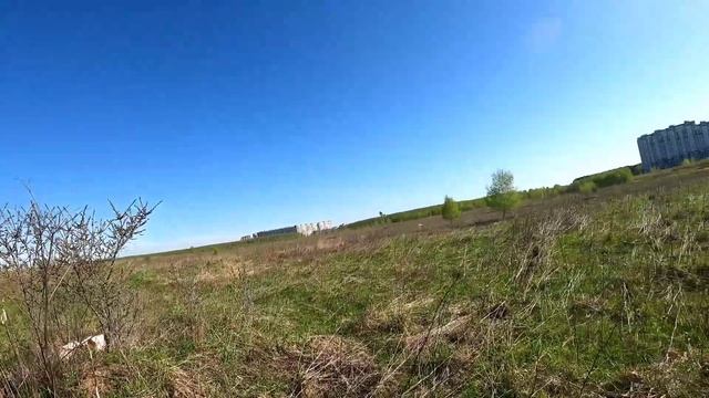 Парная куропатка Подмосковья и мини легавая. смотреть онлайн