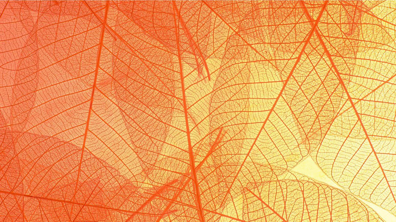 Lovely - Billie Eilish & Khalid