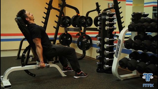 Подъем гантелей на бицепс сидя попеременно смотреть онлайн