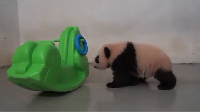 Katyusha is a symbol of the Moscow Zoo смотреть онлайн