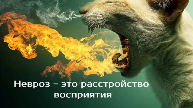 Невроз как расстройство восприятия | психотерапевт Александр Кузьмичев смотреть онлайн