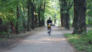 Тест видео режима Canon EOS 60D