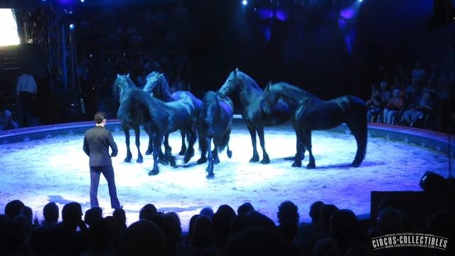 Circus Knie in Olten, Switzerland - Smile 2016 смотреть онлайн