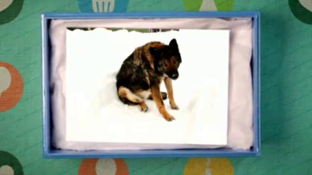 Подарок на День Рождения и Именинникам смотреть онлайн