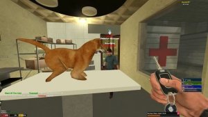 ПОСТРОИЛ ВЕТЕРИНАРНУЮ КЛИНИКУ и ЛЕЧУ СОБАК в GARRY'S MOD DARK RP