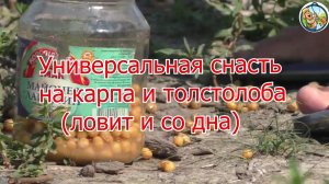 Как сделать снасть для ловли толстолоба и карпа (ловит и со дна)