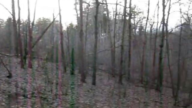 135. Togliatti, Samara region, Russian Federation. Part 53. Walk through the Togliatti forest смотреть онлайн
