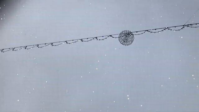 Главные ёлки страны. Новогодние красавицы столицы. Christmas trees of the capital смотреть онлайн