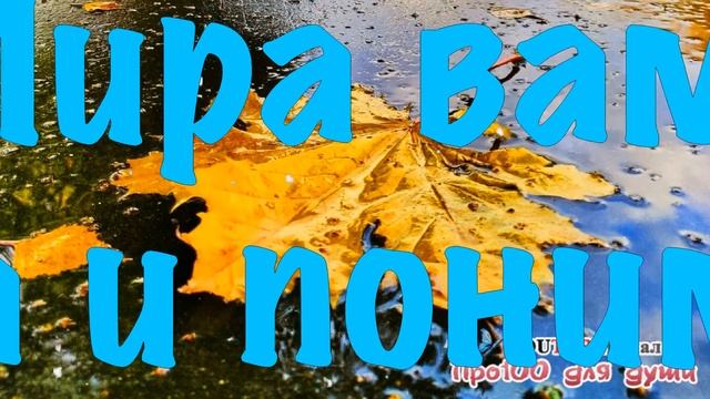 Добрый вечер! Доброго, уютного вечера и хорошего настроения! Красивые пожелания доброго вечера! смотреть онлайн