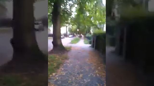 Berlin Steglitz-Zehlendorf смотреть онлайн