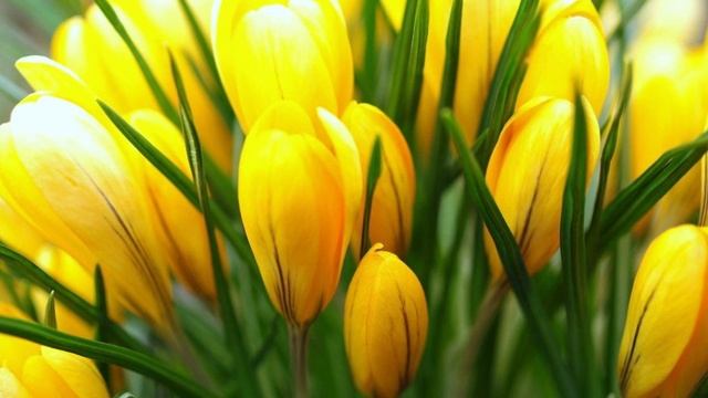 Театр абсурда. Как сохранить гармонию в своей душе.