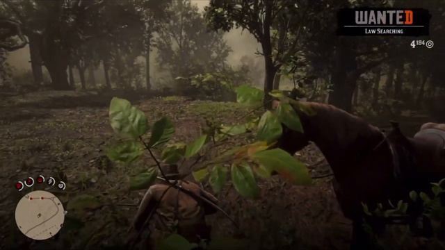 Red dead 2 on iPad Pro 2021 смотреть онлайн