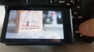 Как размыть задний фон на видео. Как сделать размытый фон на телефоне. Как размыть фон на видео.