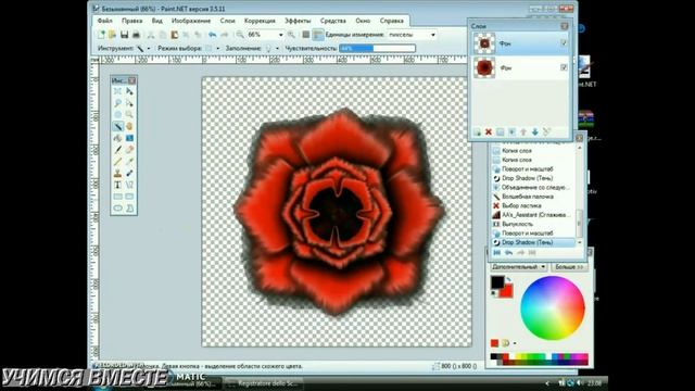 Paint.Net: Делаем цветок