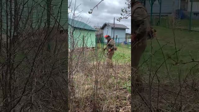 Срезка кустов stihl fs 350 смотреть онлайн