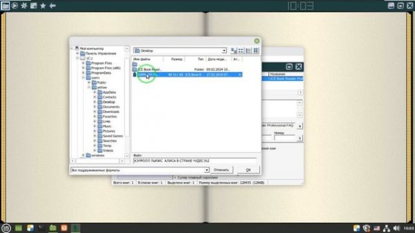 Установка ICE Book Reader в Linux.