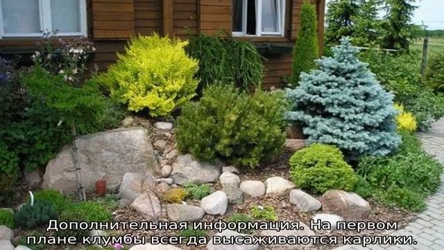 Клумба из хвойников смотреть онлайн
