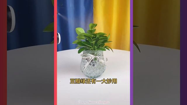 New Gadgets,Smart Appliances😉👍▶️549 | Versatile Utensils For Every 🏡,Makeup/Beauty,Kitchen/Utensils