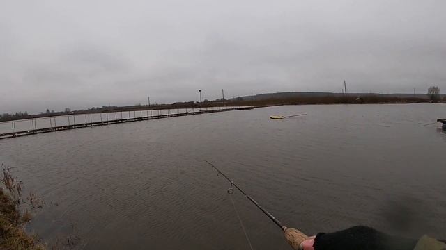 Ловля форели в Московской области смотреть онлайн