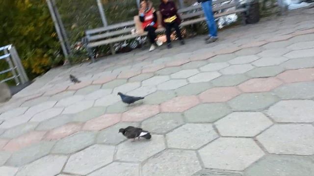 ЯЛТА АВТОВОКЗАЛ смотреть онлайн