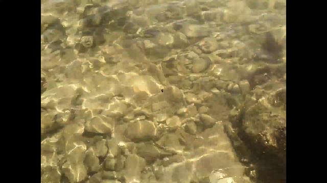 Mексика. Последний день отпуска в Eldorado seaside. Встреча с игуаной. Meet an iguana 12/2019 смотреть онлайн