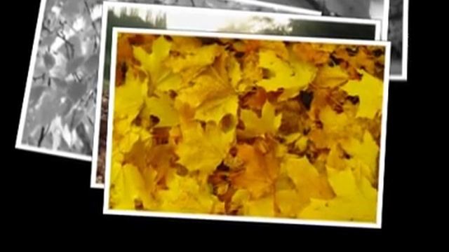 Пастернак Б.Л. "Золотая осень" смотреть онлайн